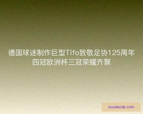 德国球迷制作巨型Tifo致敬足协125周年四冠欧洲杯三冠荣耀齐聚
